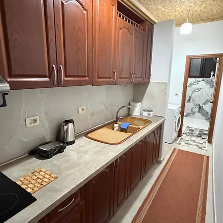 公寓 Cozy Flat 地拉那